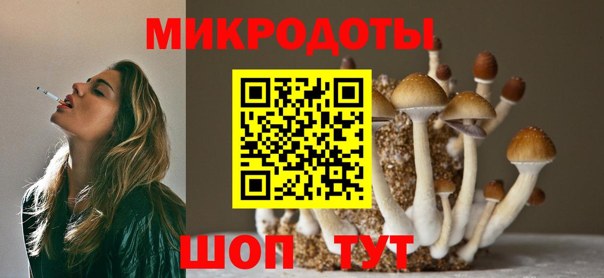 Зеленодольск  Галлюциногенные грибы Magic Shrooms  Вход с VPN 